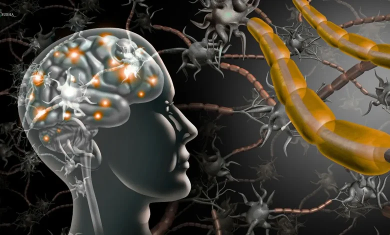 A digital illustration of an active human brain with glowing neural connections and neurons in the background.