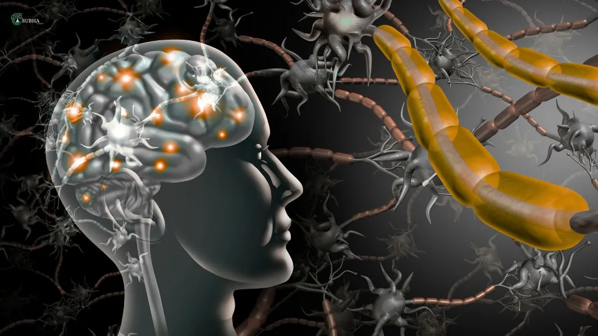A digital illustration of an active human brain with glowing neural connections and neurons in the background.