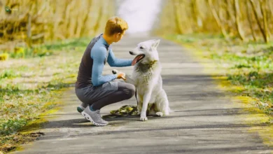Man bonding with therapy dog outdoors to reduce stress and improve mental health