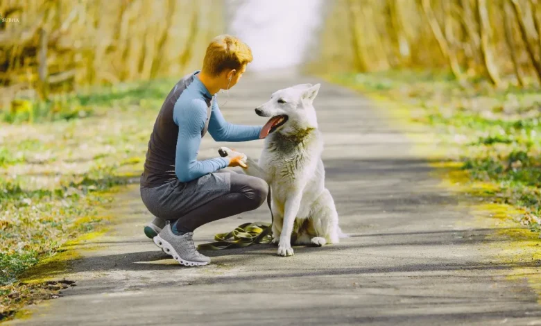 Man bonding with therapy dog outdoors to reduce stress and improve mental health