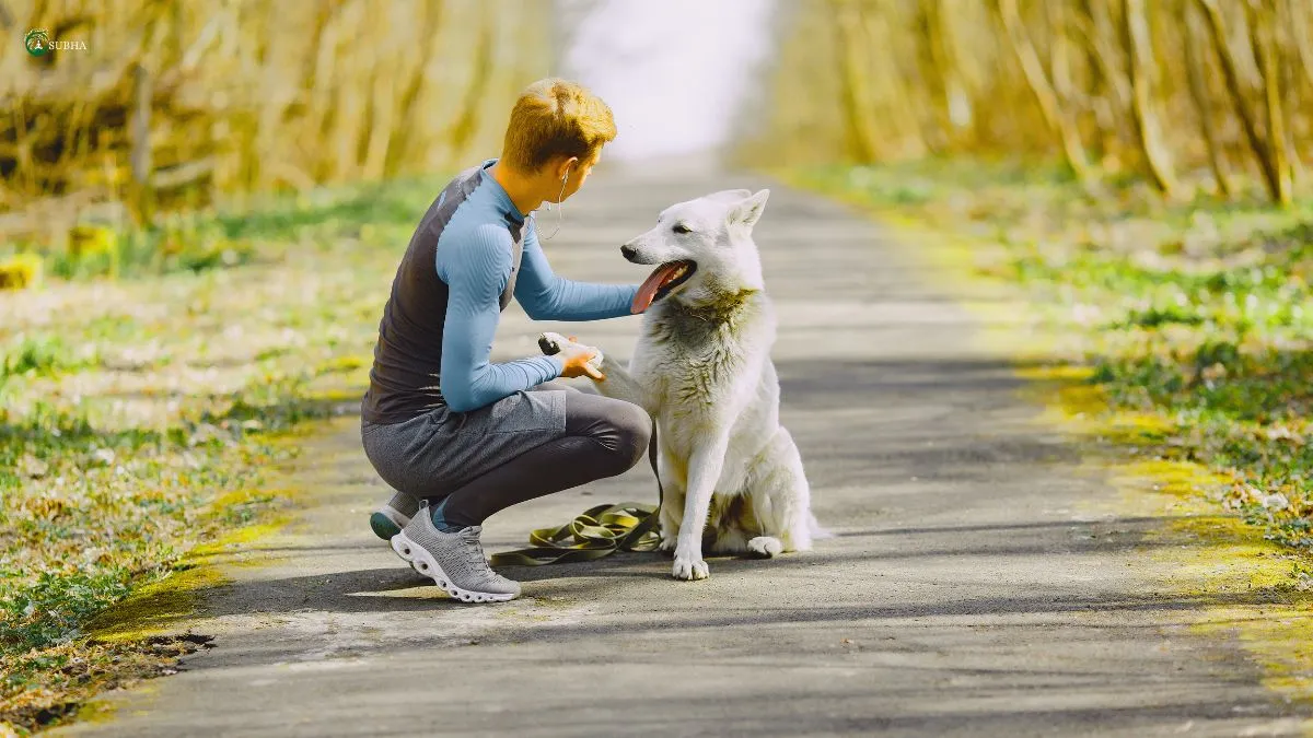 Man bonding with therapy dog outdoors to reduce stress and improve mental health